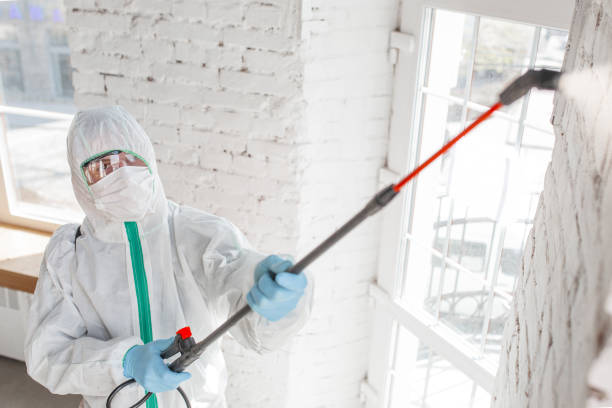 Best Industrial Mold Remediation  in Lake Mohawk, NJ