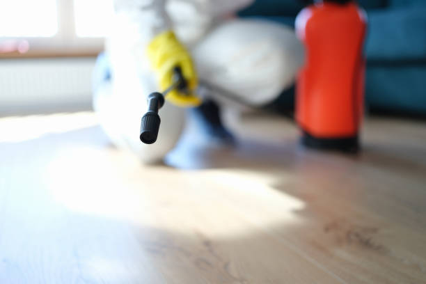 Best Crawl Space Mold Remediation  in Lake Mohawk, NJ