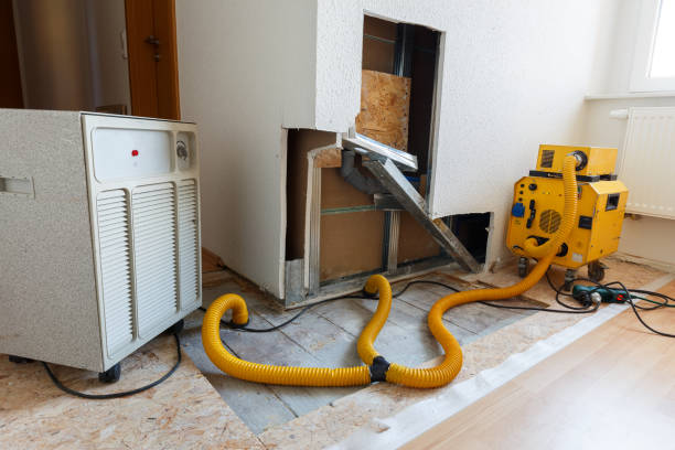 Mold Documentation for Insurance Claims in Lake Mohawk, NJ