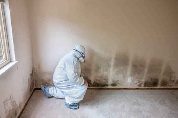 Best Mold Prevention Services  in Lake Mohawk, NJ