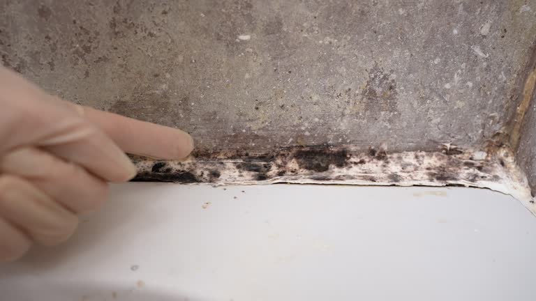 Best Mold Remediation for Healthcare Facilities  in Lake Mohawk, NJ